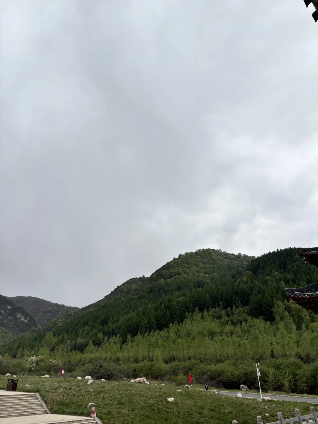 一个人逃进山里两天，没人吵太舒服了🌫️