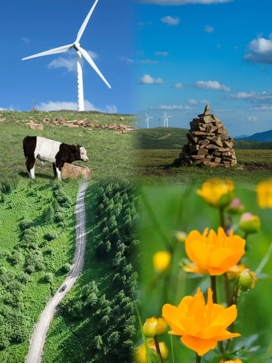 逃离城市计划!去有风的地方吧~🚗