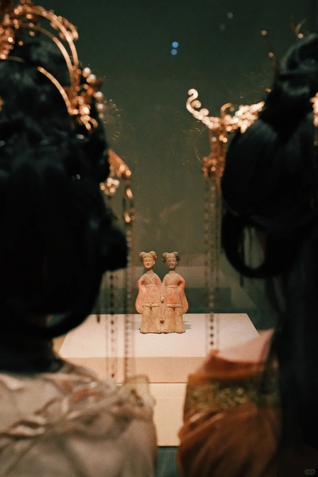 以为西安够美了😭直到我来了趟洛阳…