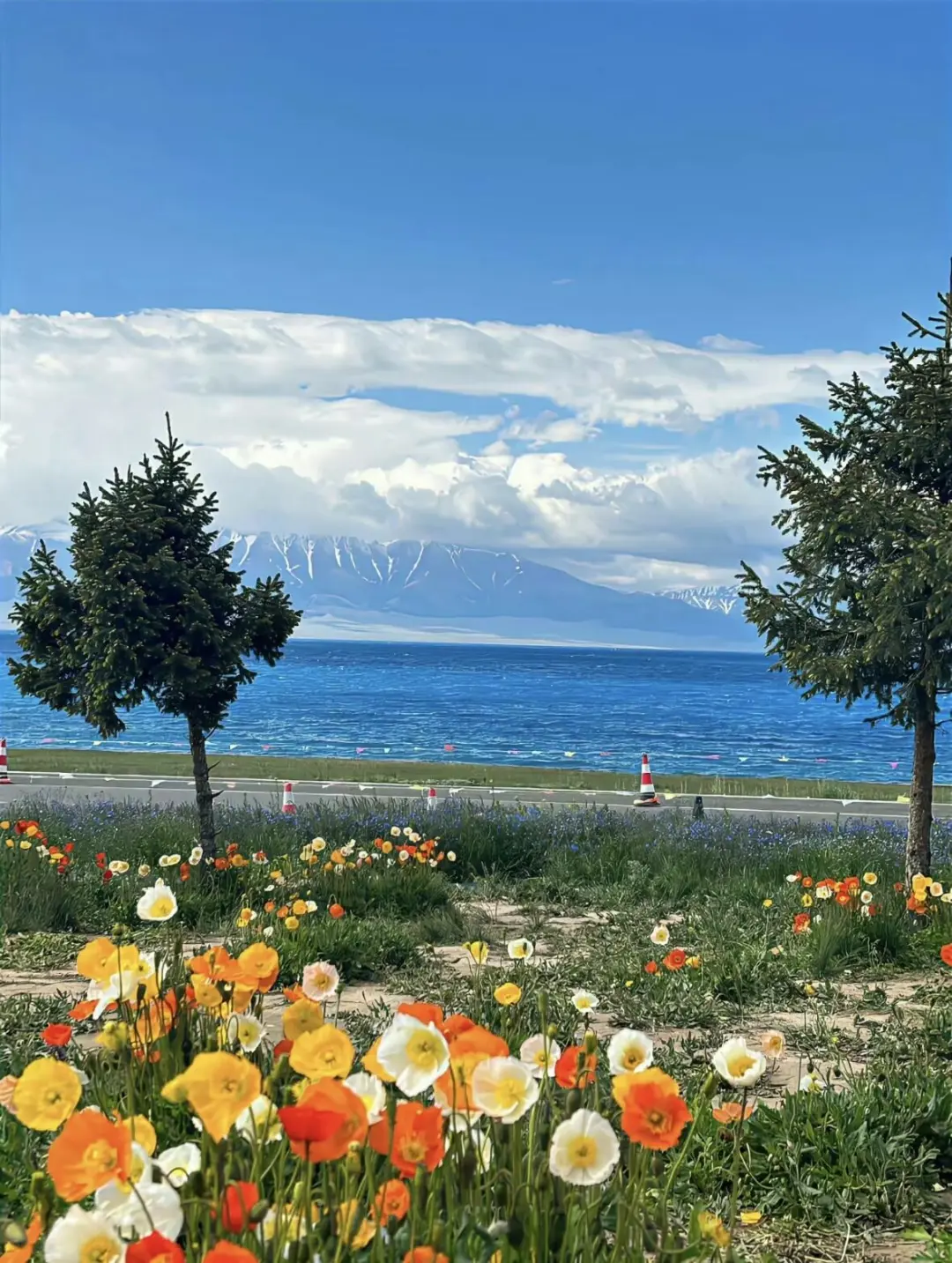 五月伊犁美到窒息😭