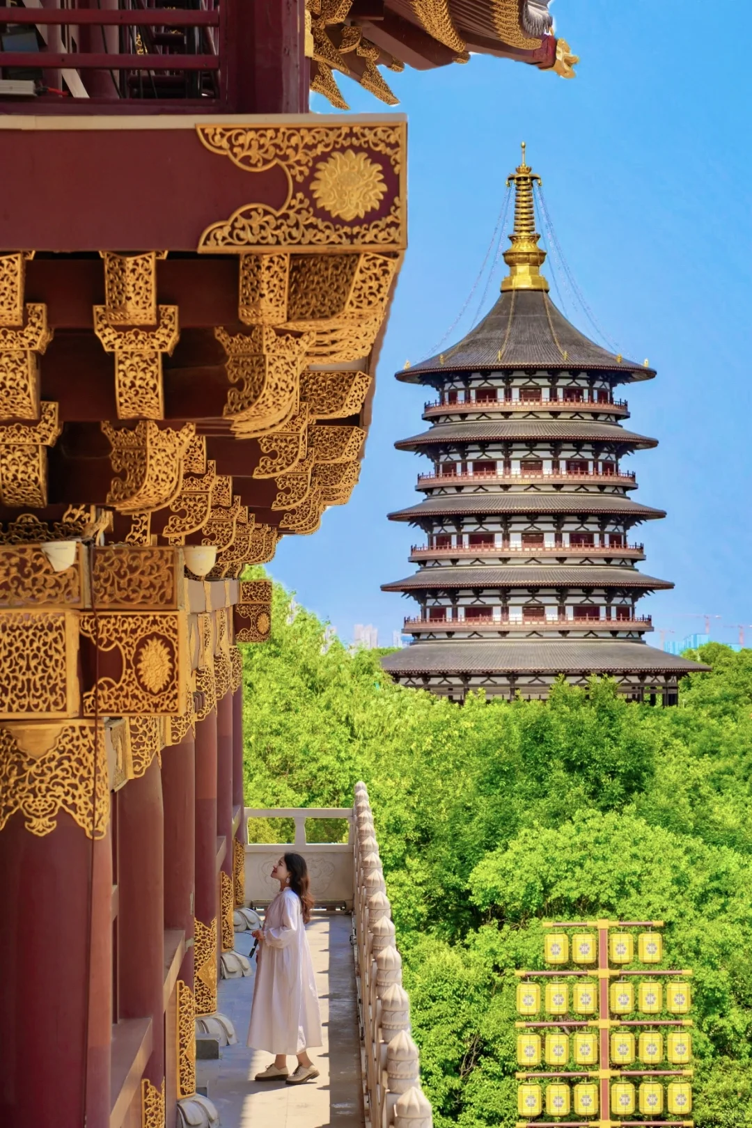 以为西安够美了😭直到我来了趟洛阳…