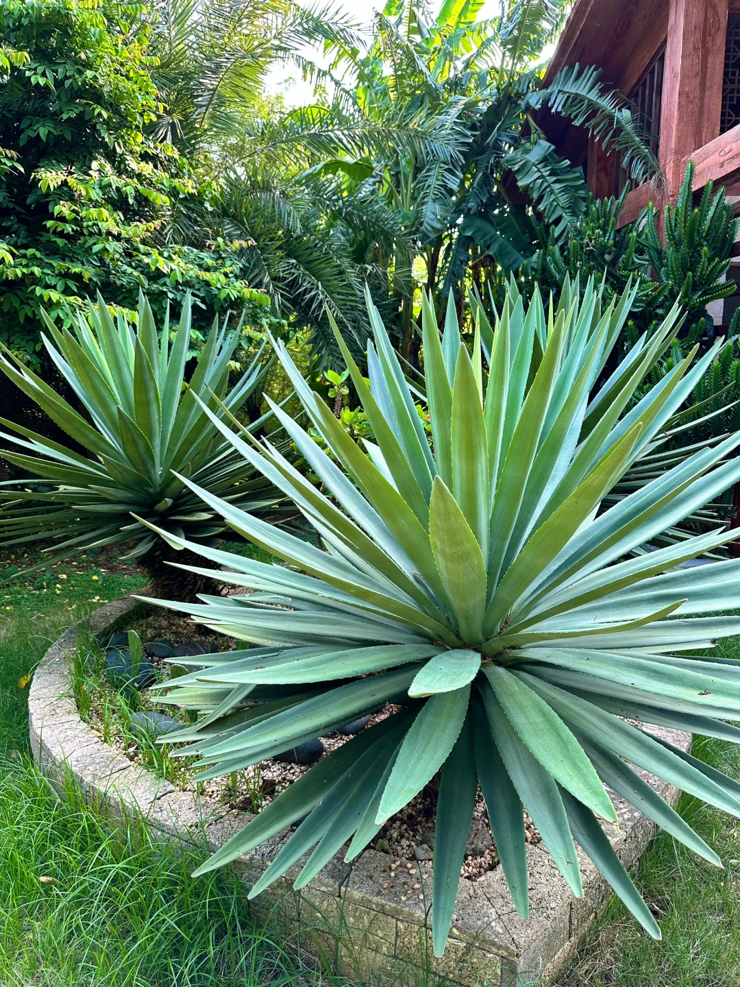 不是三亚，这是北海涠洲岛最美的景点❗️