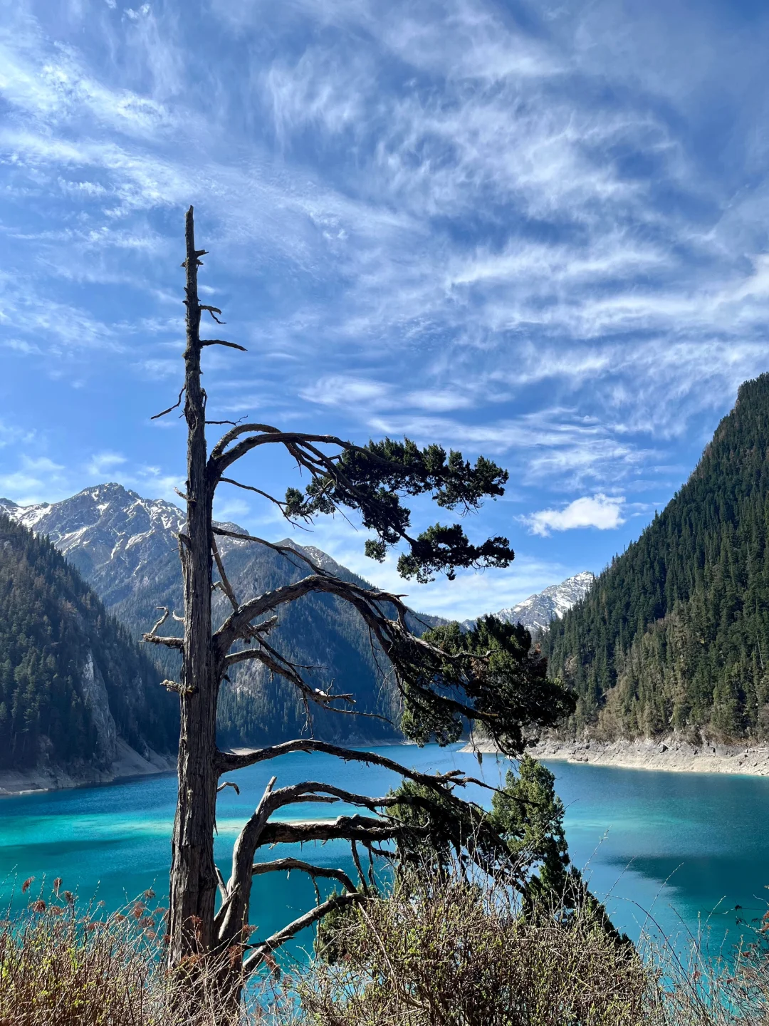 5.24📍九寨沟已回，xhs真别把人当傻子。。。