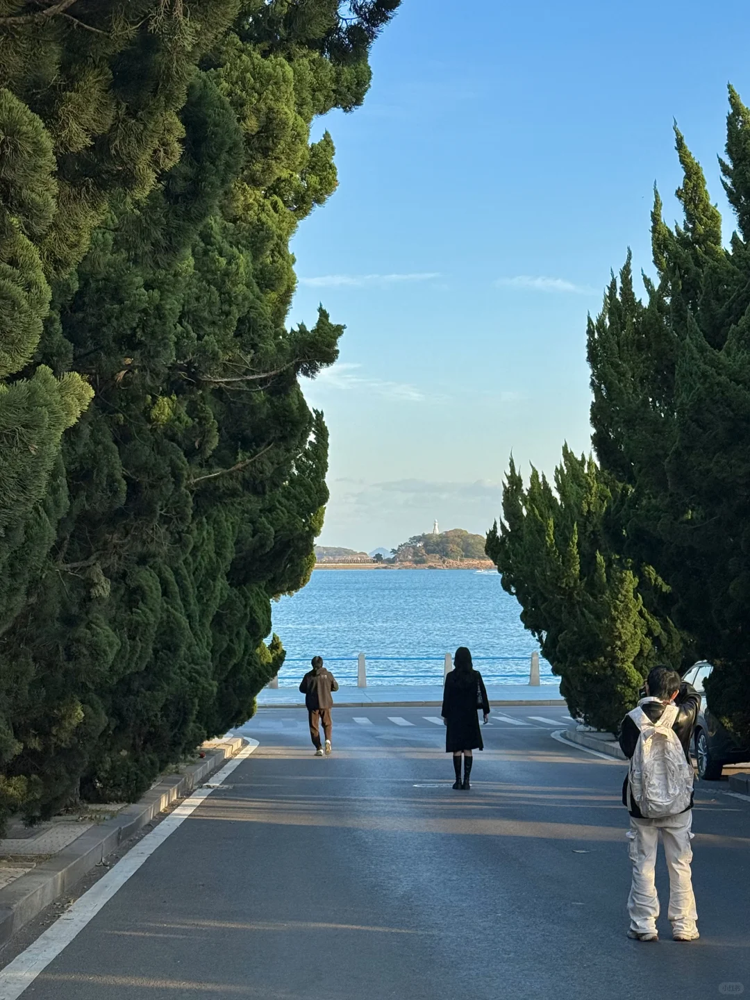 我的生命就应该浪费在青岛。。。(附路线)