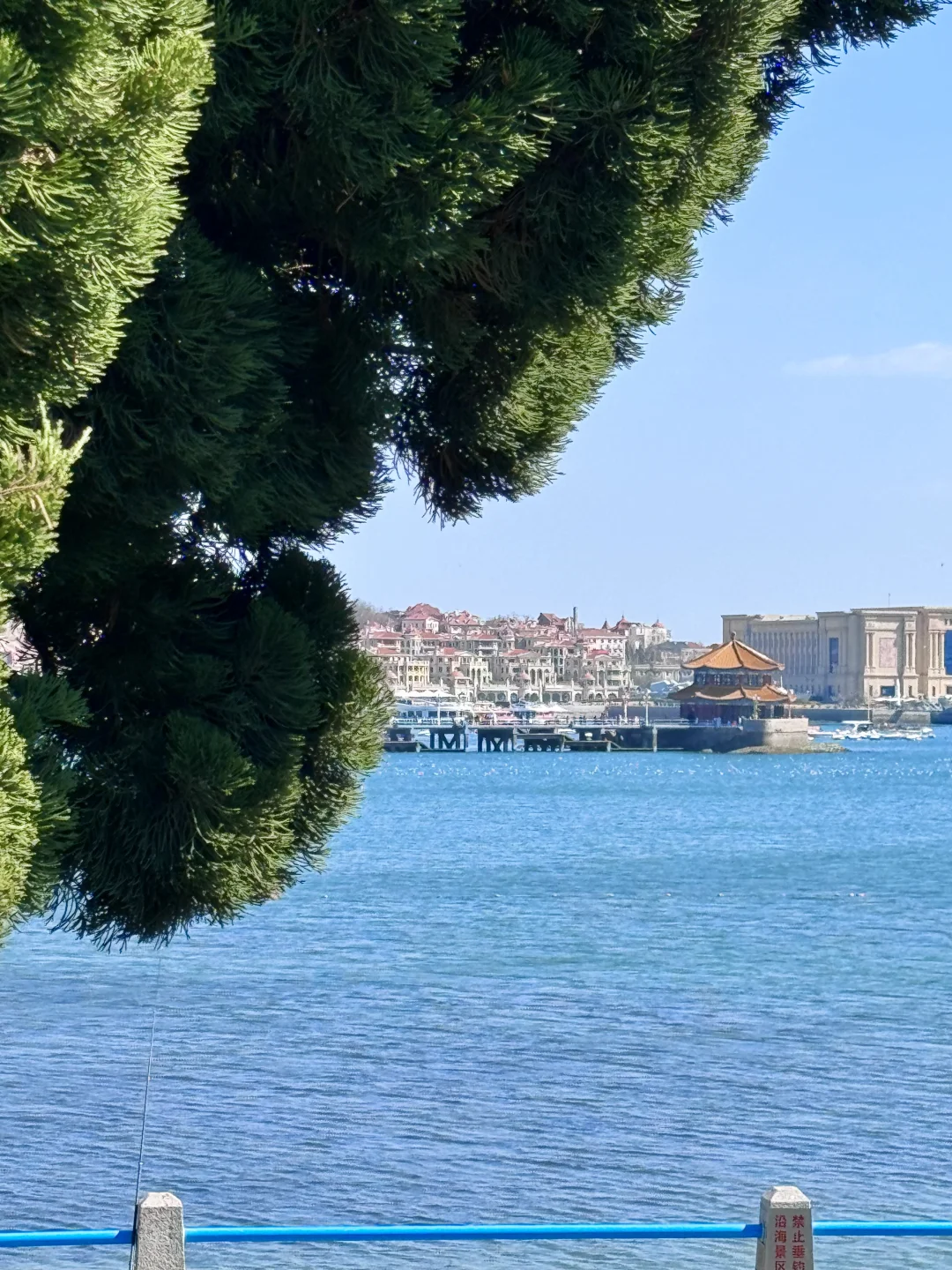 5.24青岛实况！！海边已经是next level