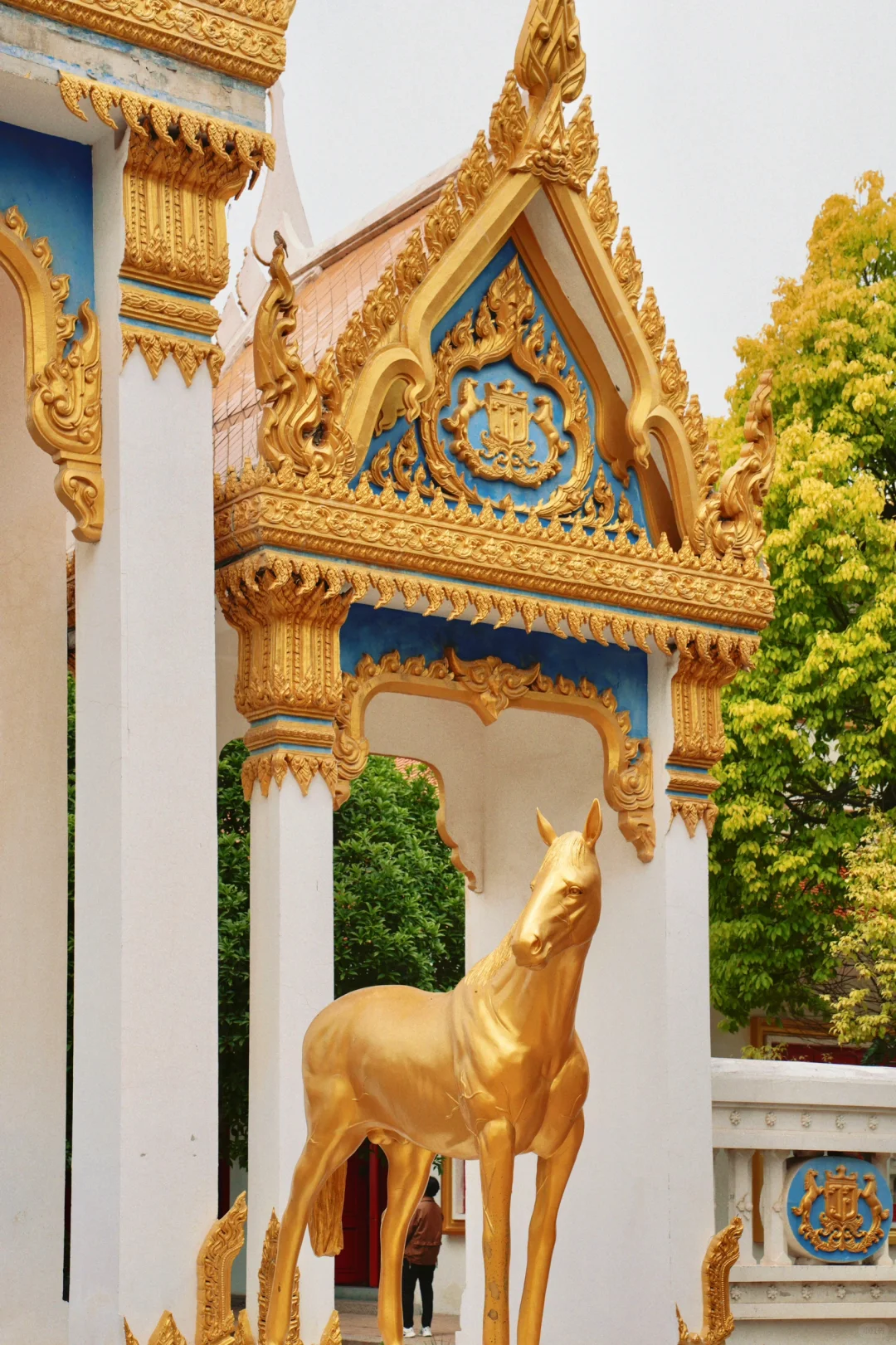 以为西安够美了😭直到我来了趟洛阳…