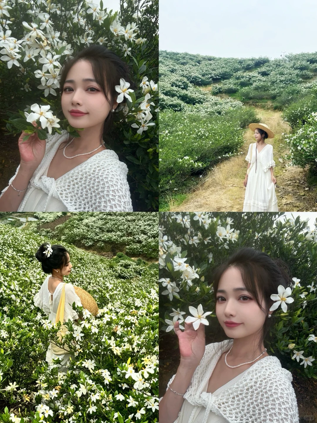 哇哇！温州出发1小时，漫山的栀子花美哭了