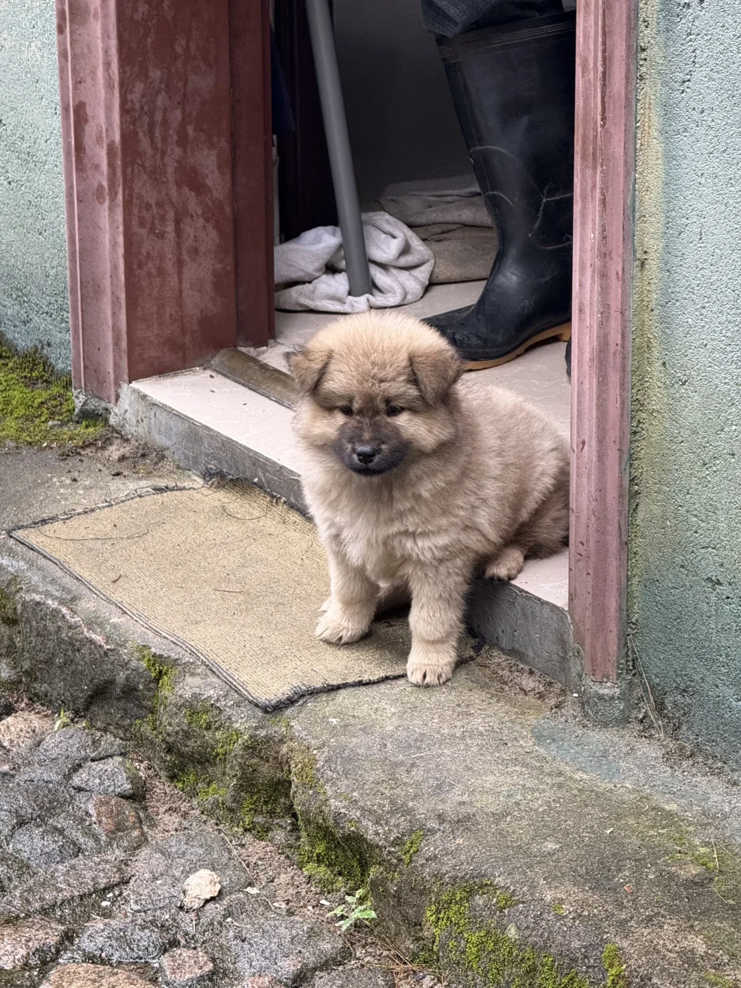 野山谷！爬山爬谷还爬门！🧗