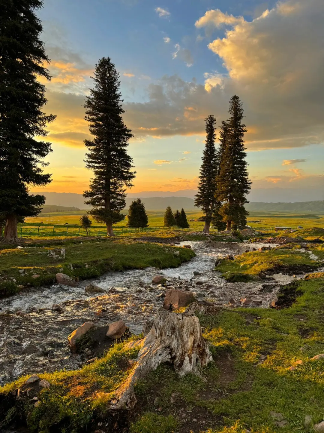 五月伊犁美到窒息😭