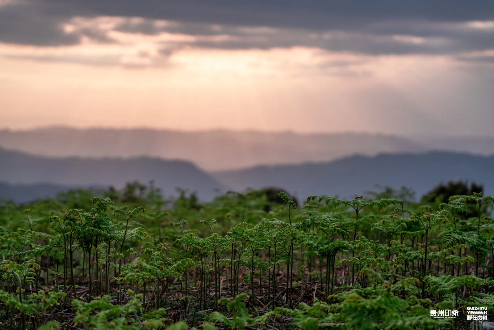 端午节来乌蒙东坡解锁吧