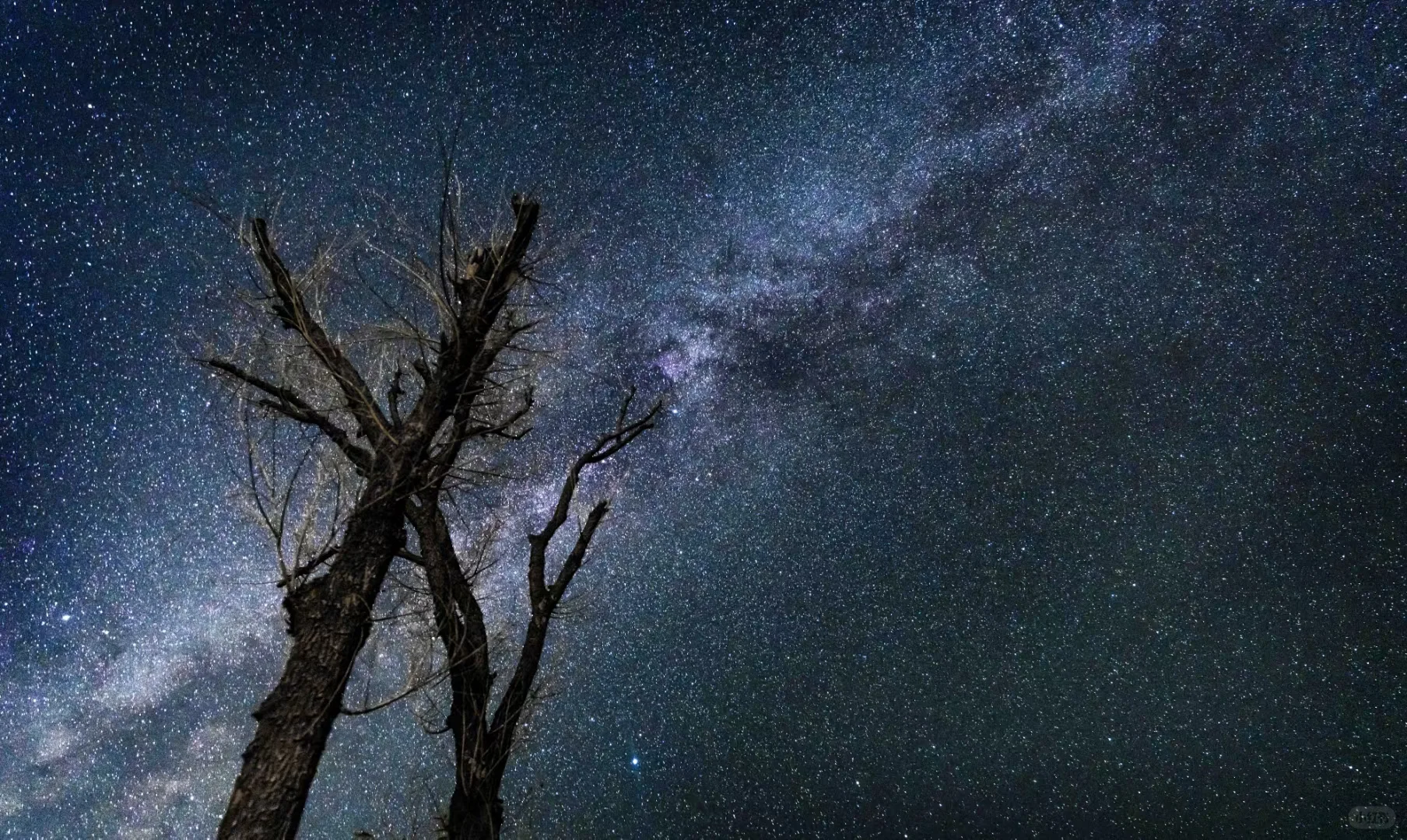 端午反向旅游灵感地，主打一个小众冷门
