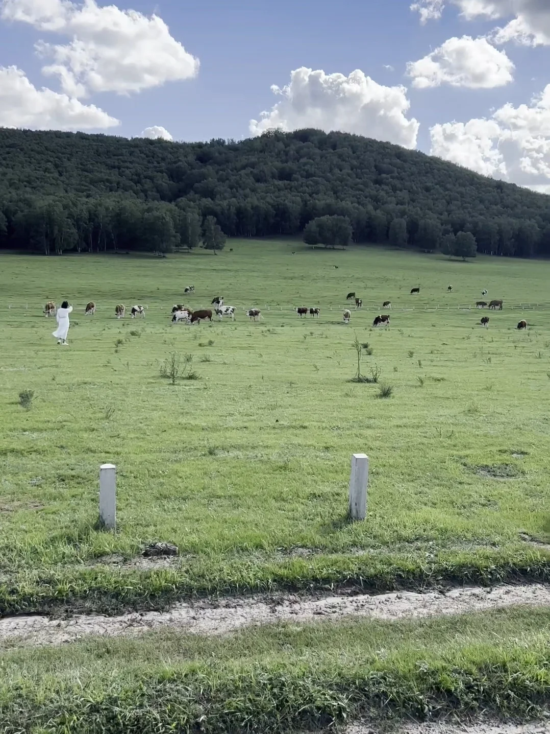 自驾达达线、热阿线，刚回来，我的建议是…