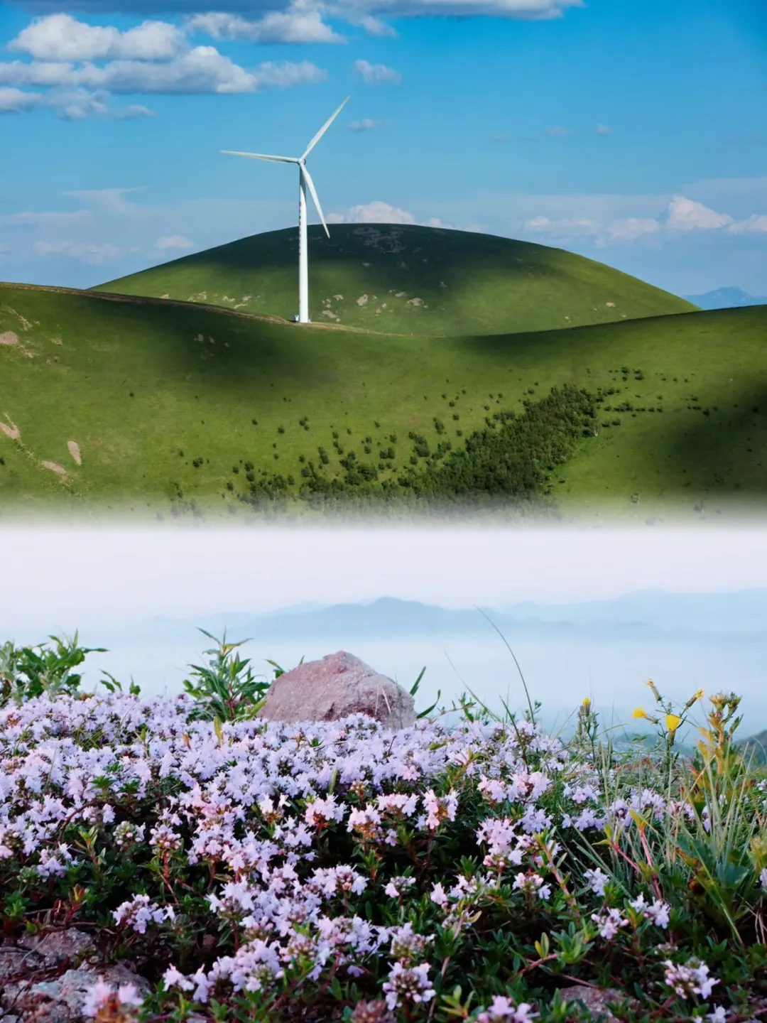 逃离城市计划!去有风的地方吧~🚗