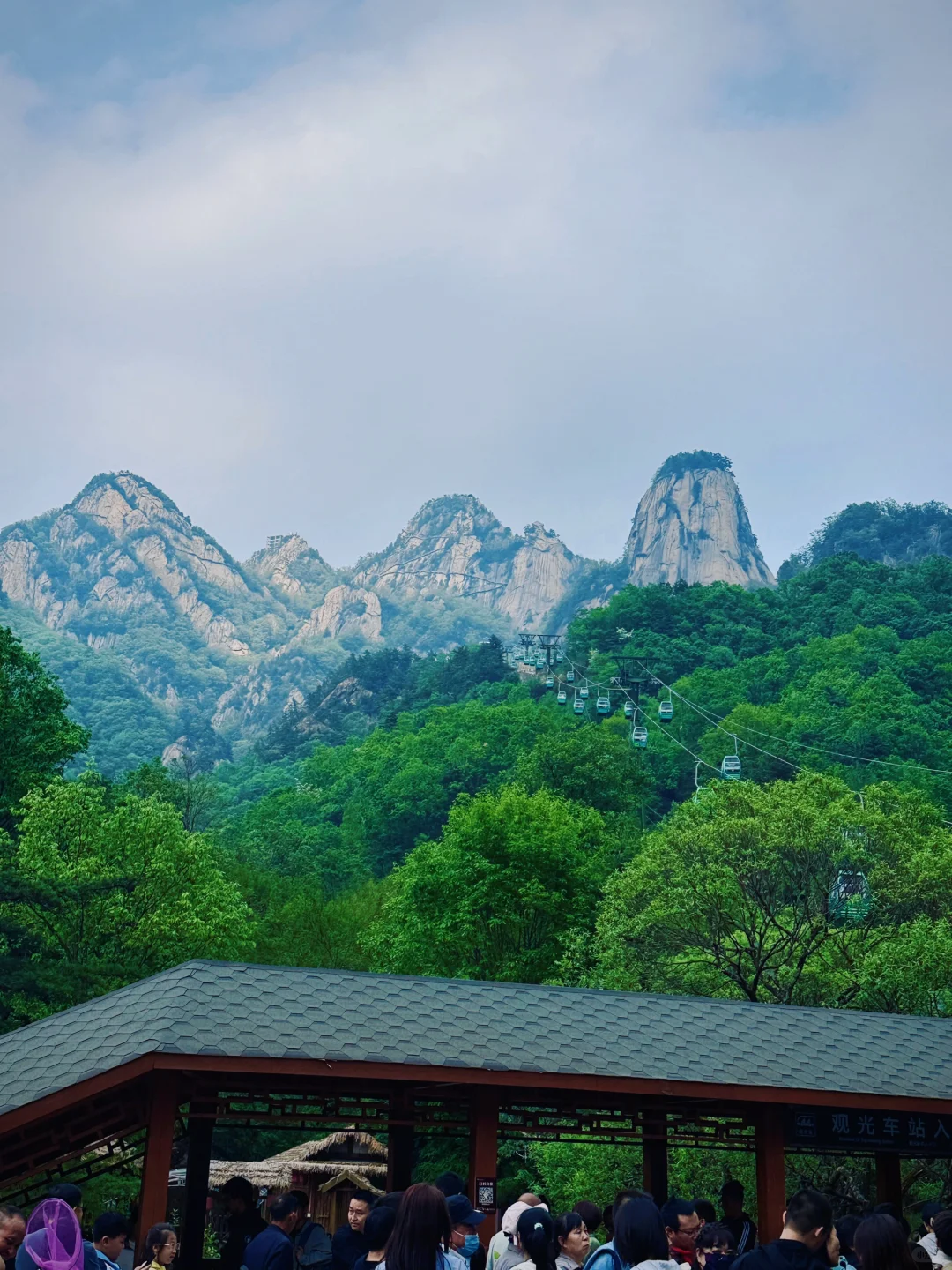 天然氧吧🌳 公主请入谷！