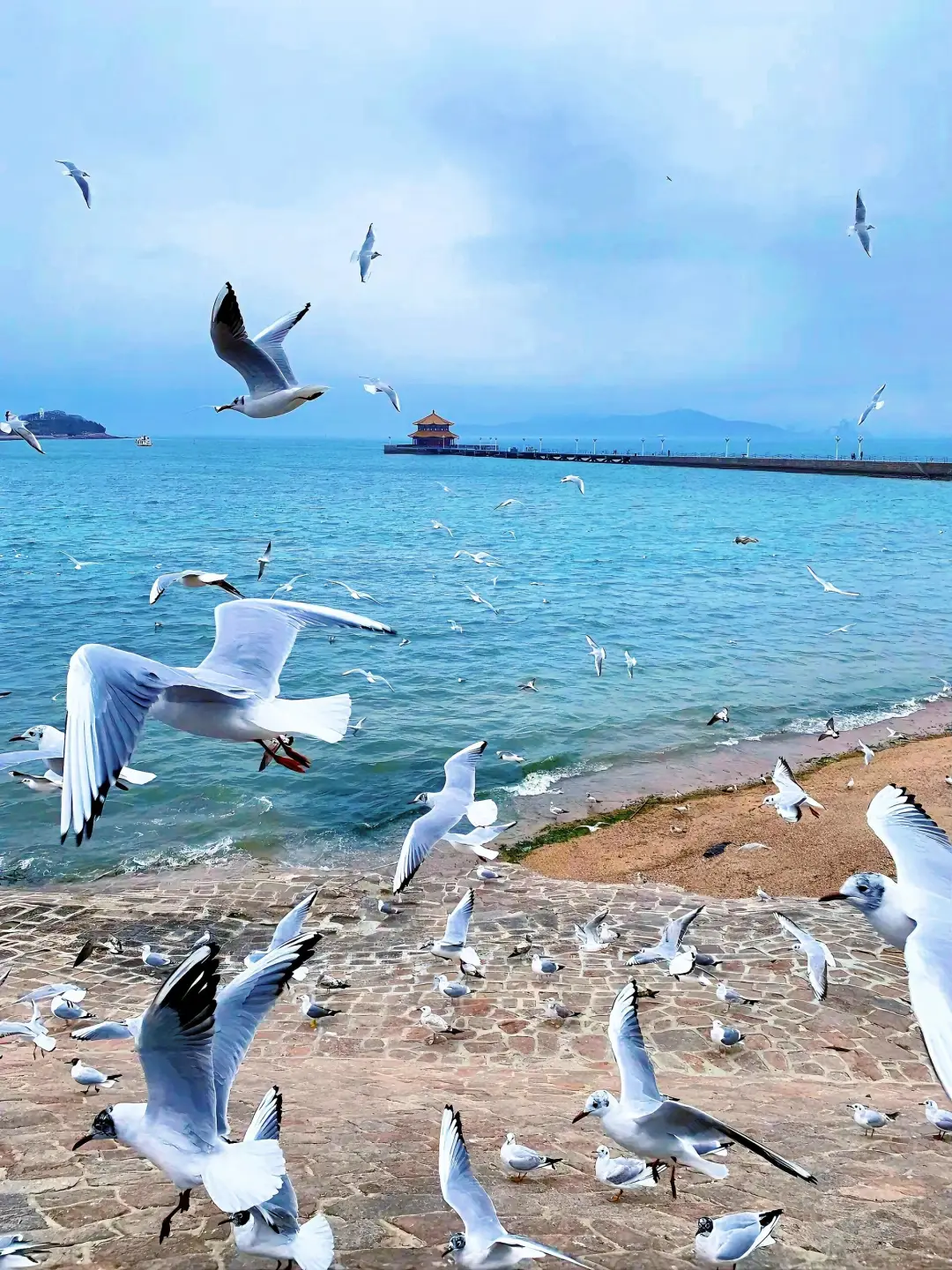 海风轻拂,啤酒飘香,这是属于青岛的夏日记