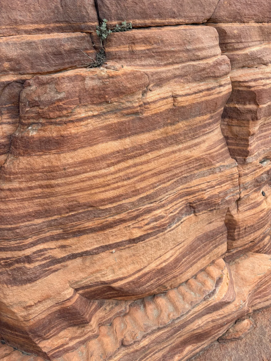 东太行山⛰️攻略