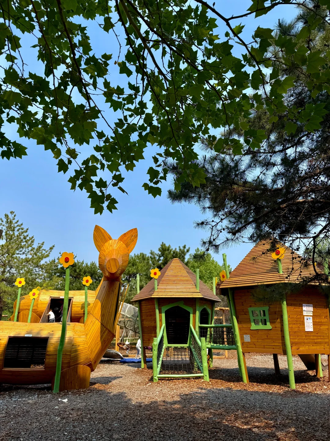 邯郸版小奈良（附详细游玩攻略）