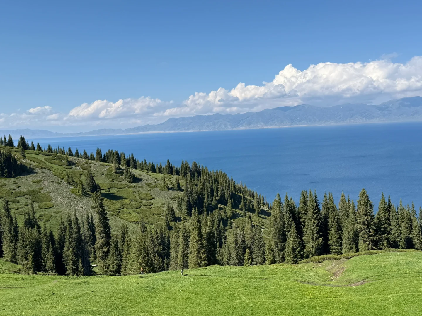 赛里木湖自驾攻略