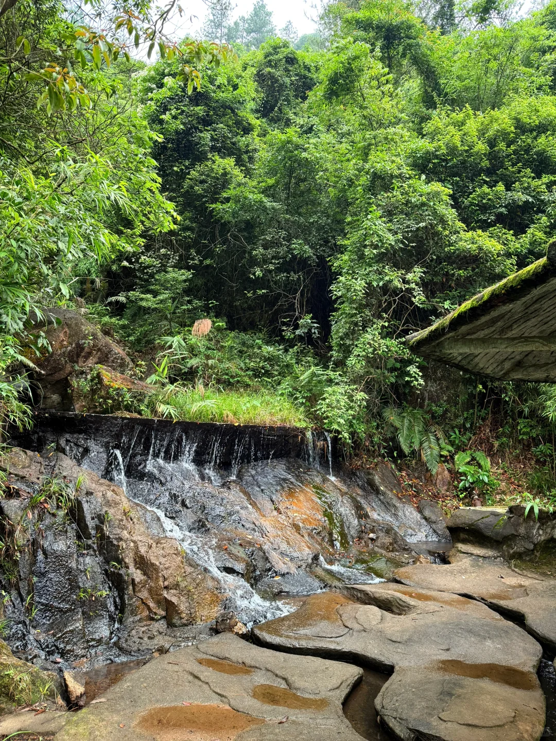 野山谷！爬山爬谷还爬门！🧗