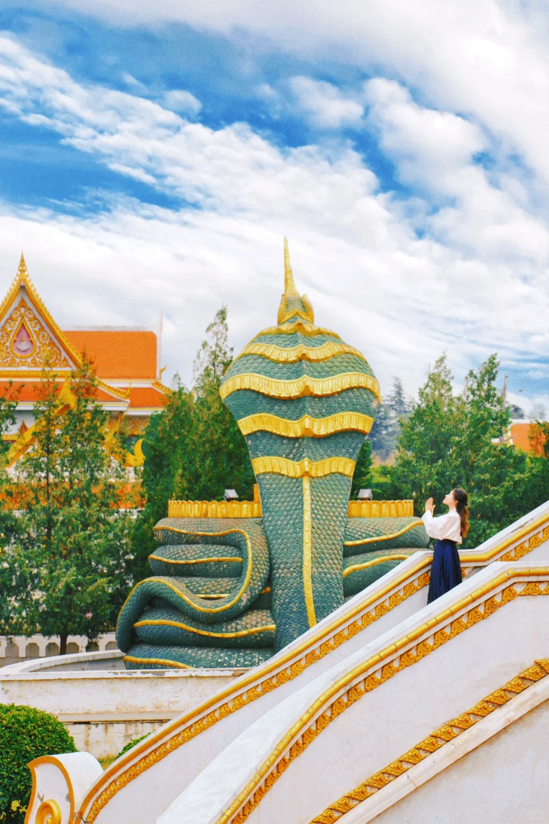 以为西安够美了😭直到我来了趟洛阳…