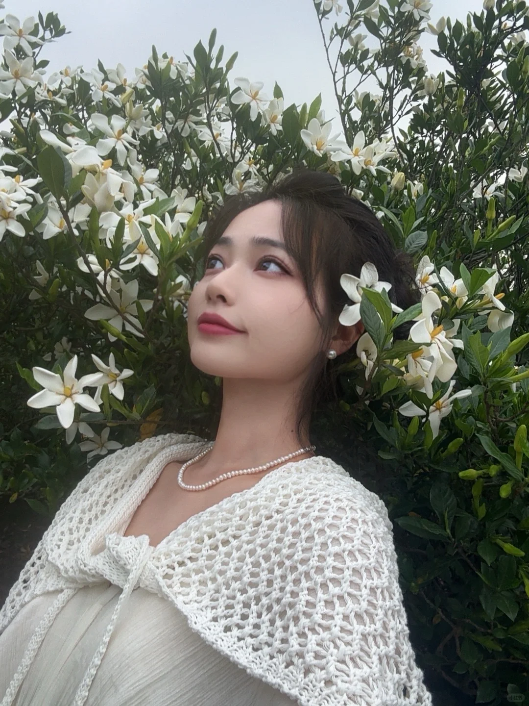 哇哇！温州出发1小时，漫山的栀子花美哭了