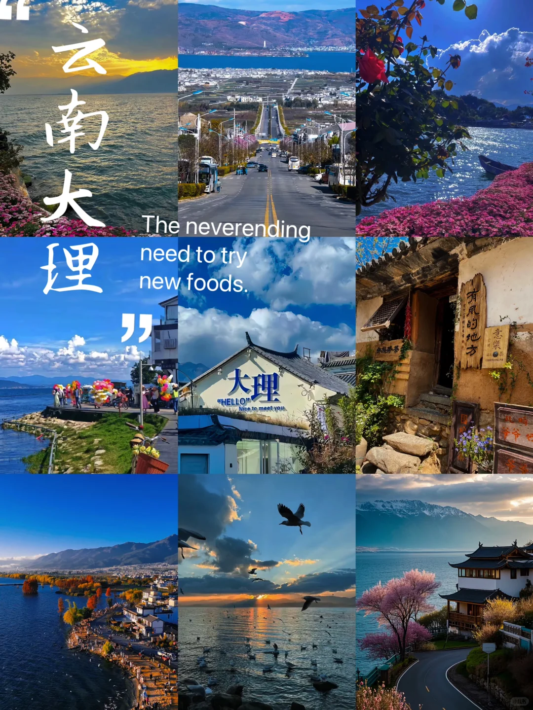 “苍山下，洱海边”🌊