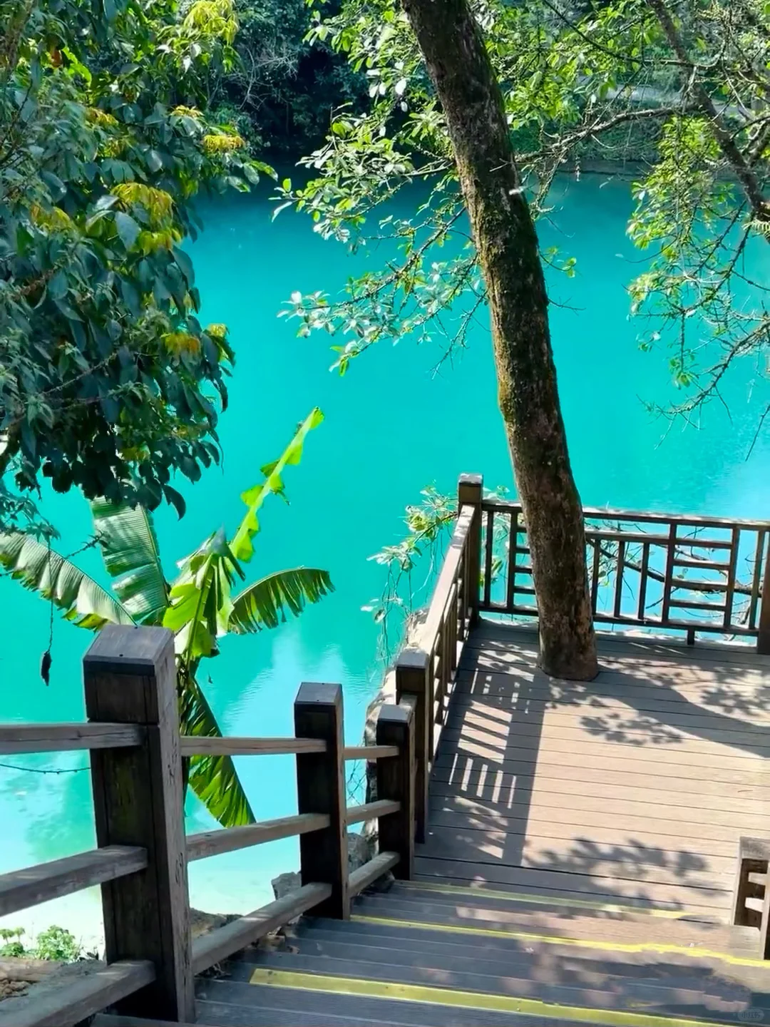 小七孔刚回｜不做攻略真的会哭😭