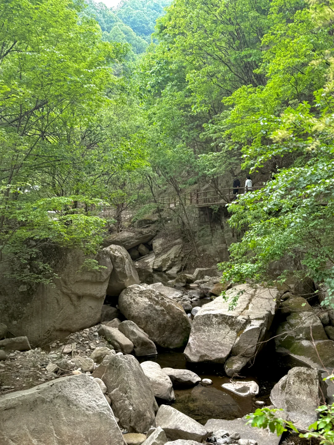 天然氧吧🌳 公主请入谷！