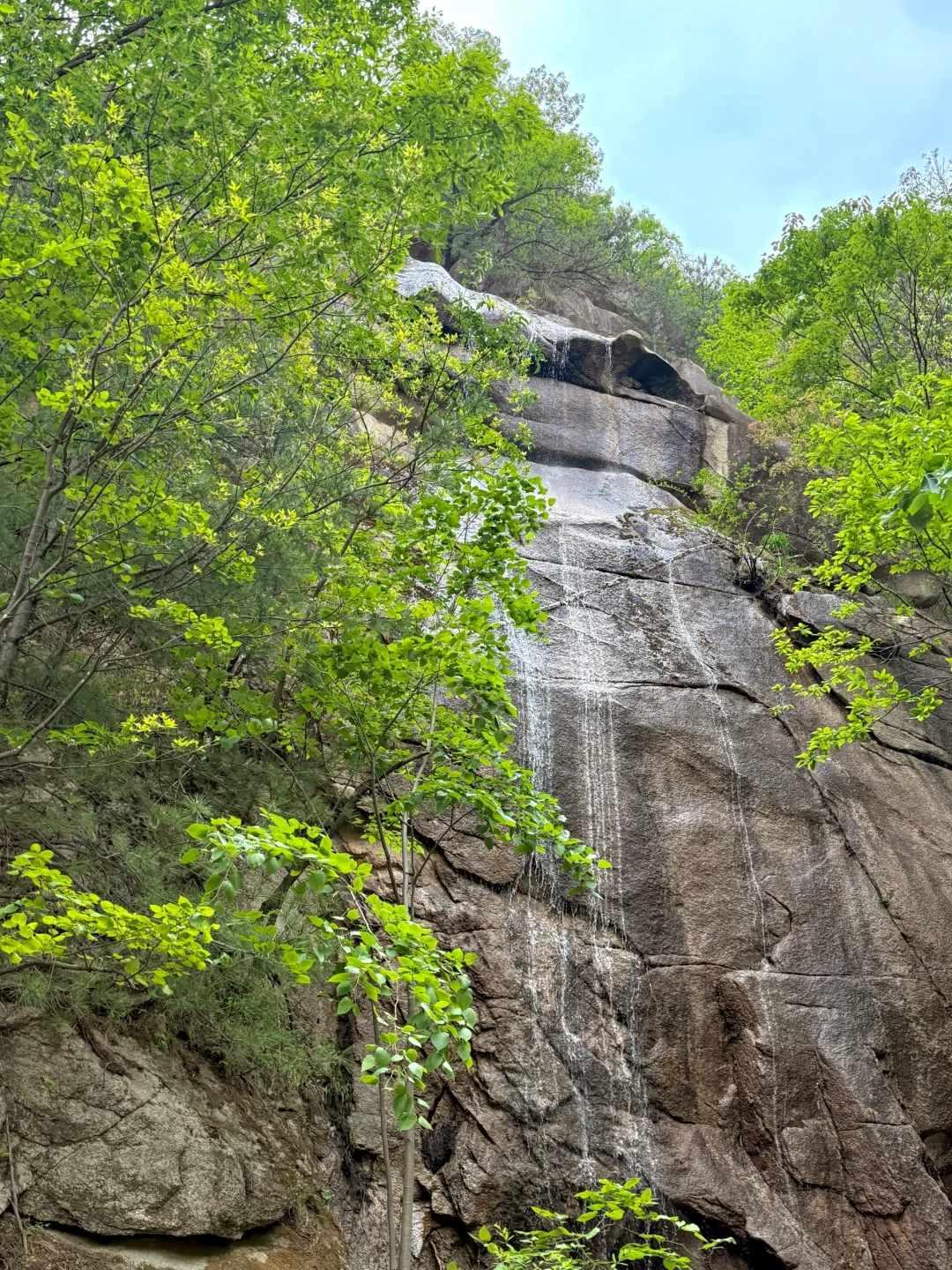 天然氧吧🌳 公主请入谷！