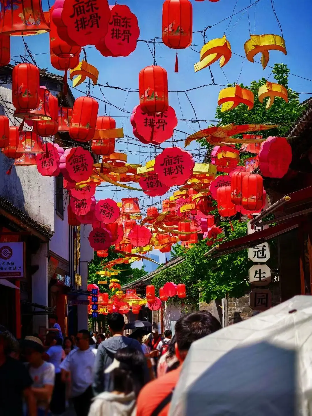 漫步南京城，感受六朝古都的独特韵味～🌟