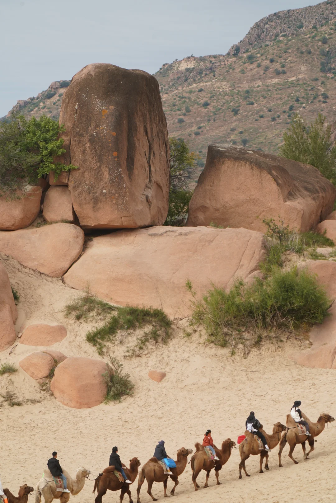 端午反向旅游灵感地，主打一个小众冷门