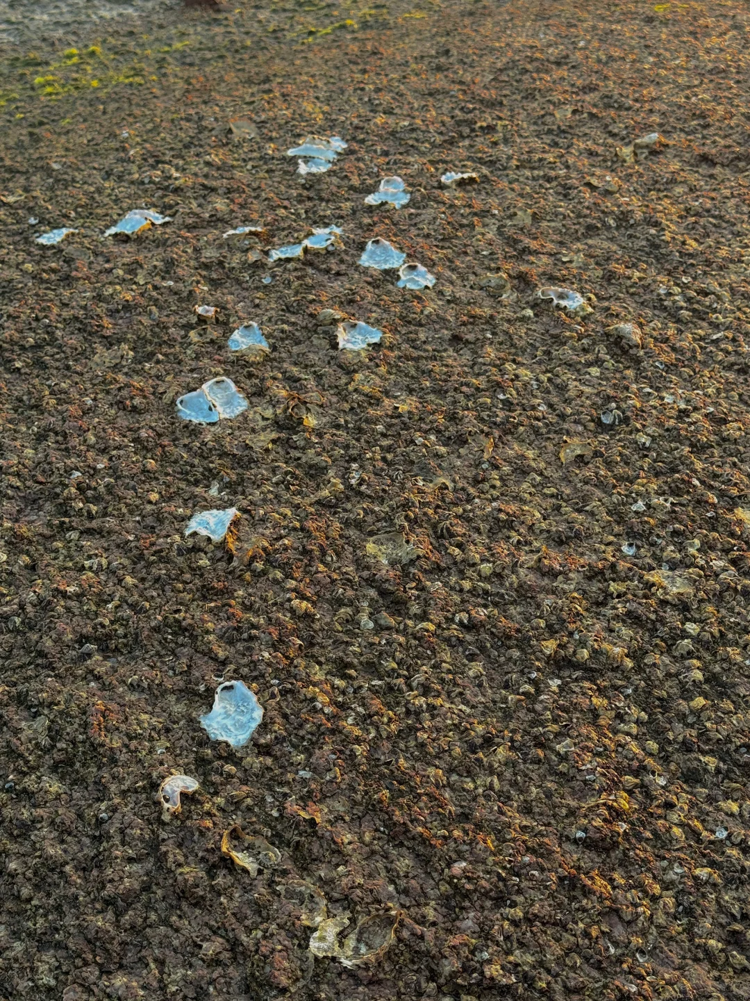 有种不在国内的美🥹