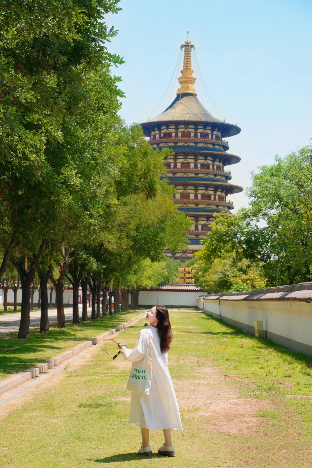 以为西安够美了😭直到我来了趟洛阳…