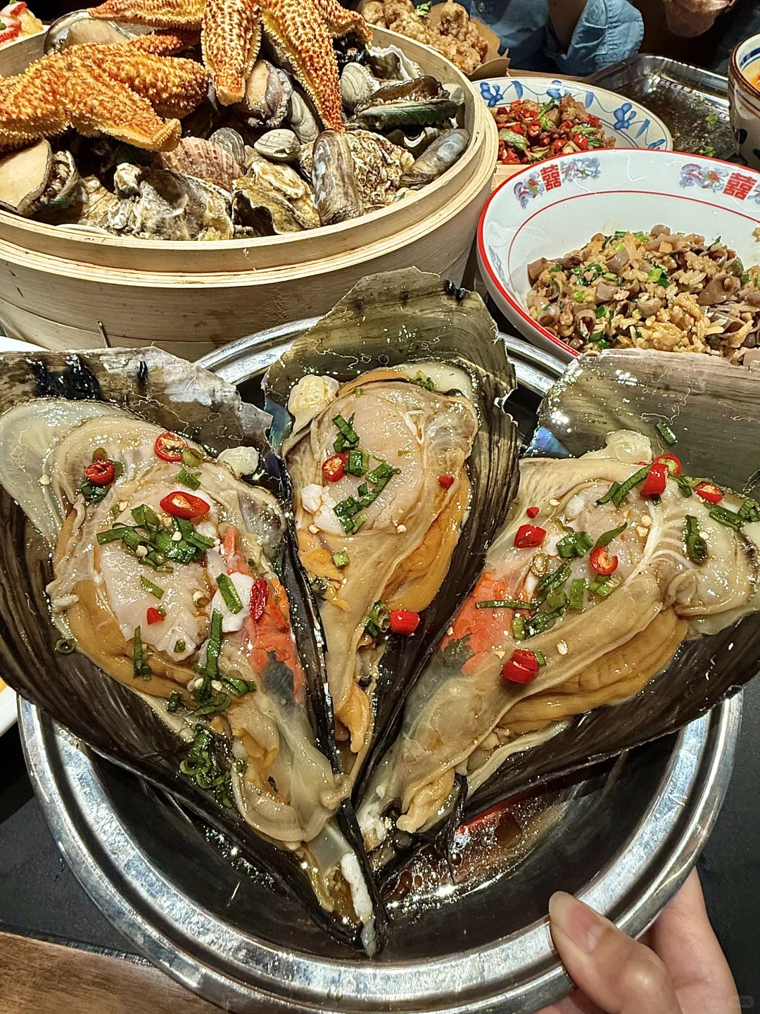 我的生命就应该浪费在青岛。。。(附路线)