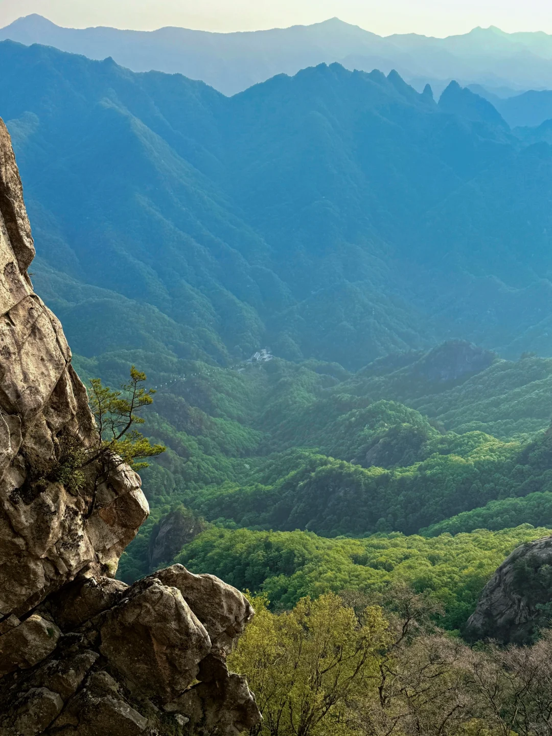 天然氧吧🌳 公主请入谷！