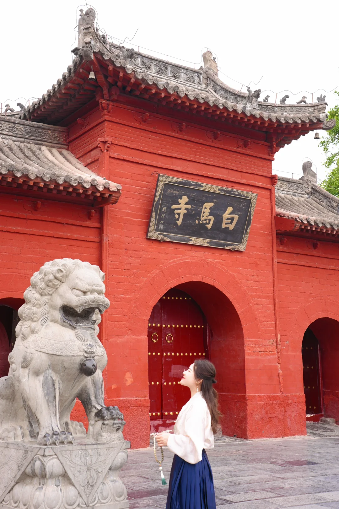 以为西安够美了😭直到我来了趟洛阳…