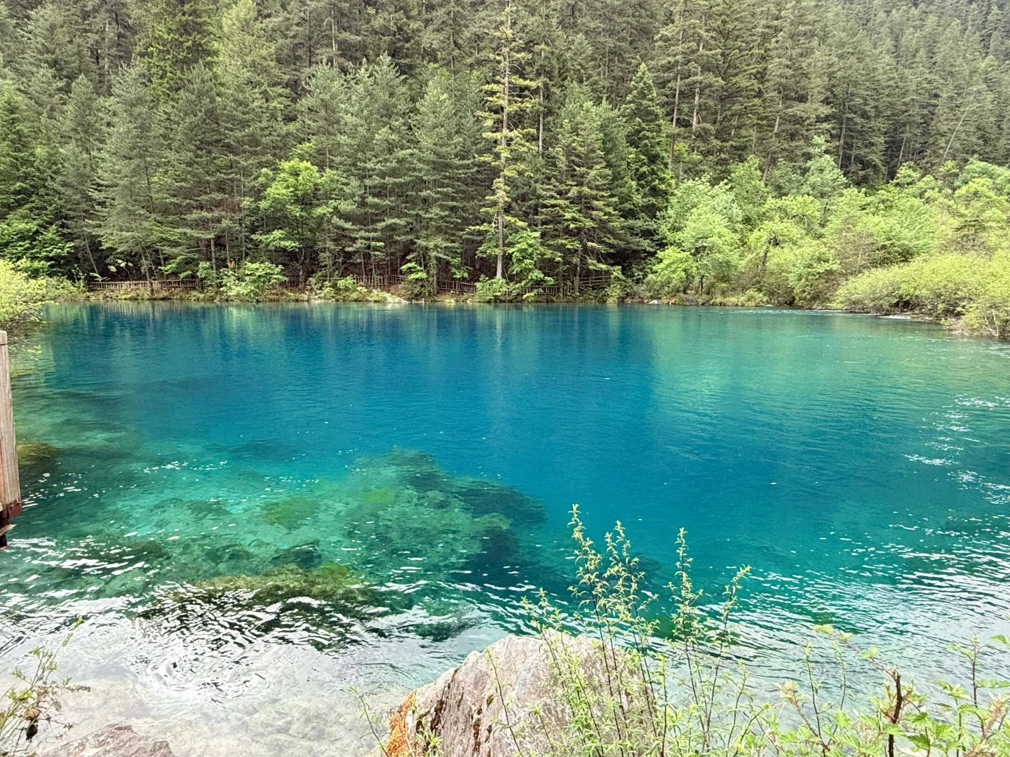 九寨沟一日游 | 超级惨的一天😭(经验贴