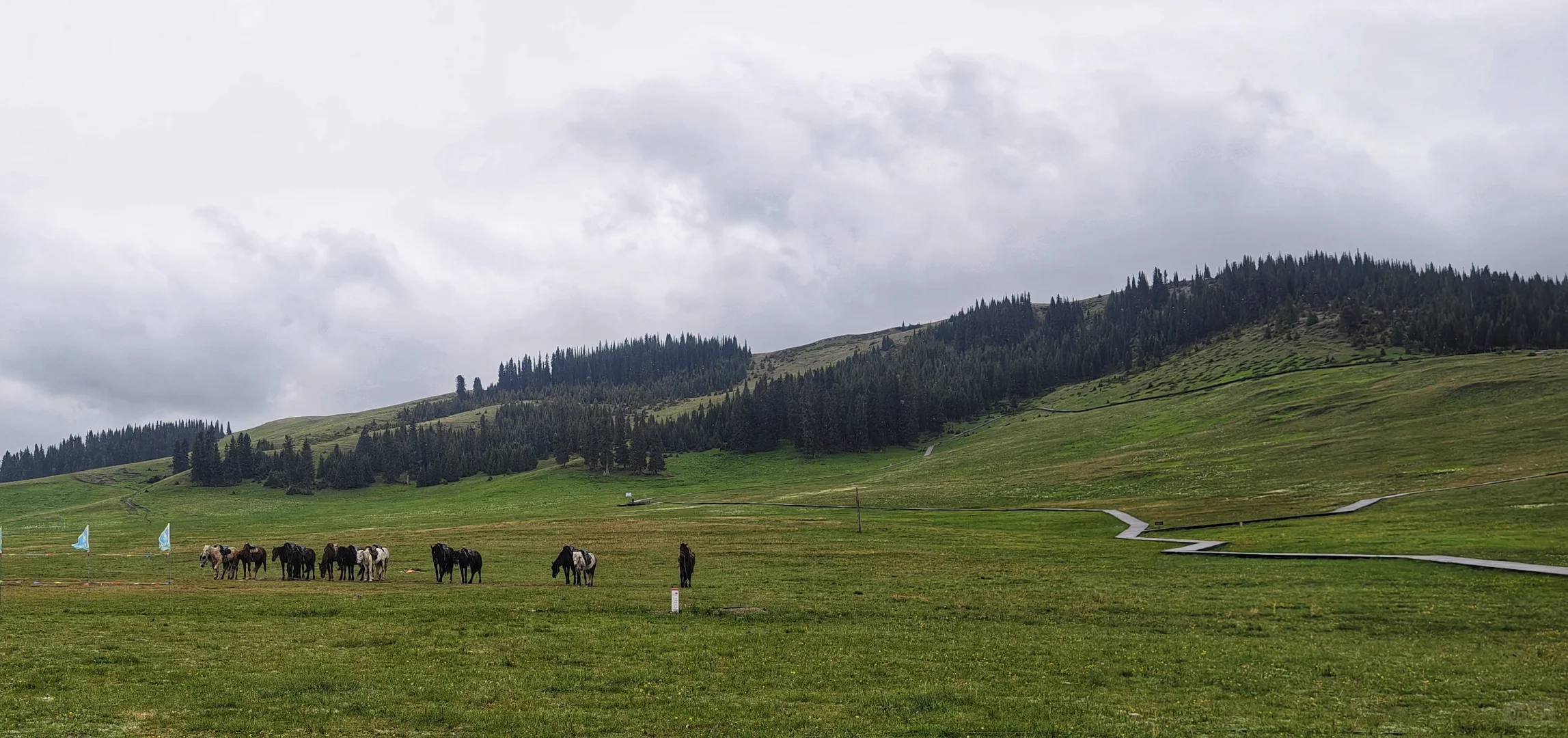 自驾新疆Day9:赛里木湖