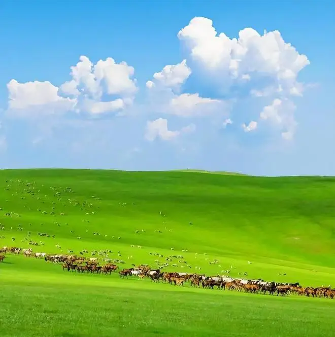 中国一生必去的50个景点--呼伦贝尔