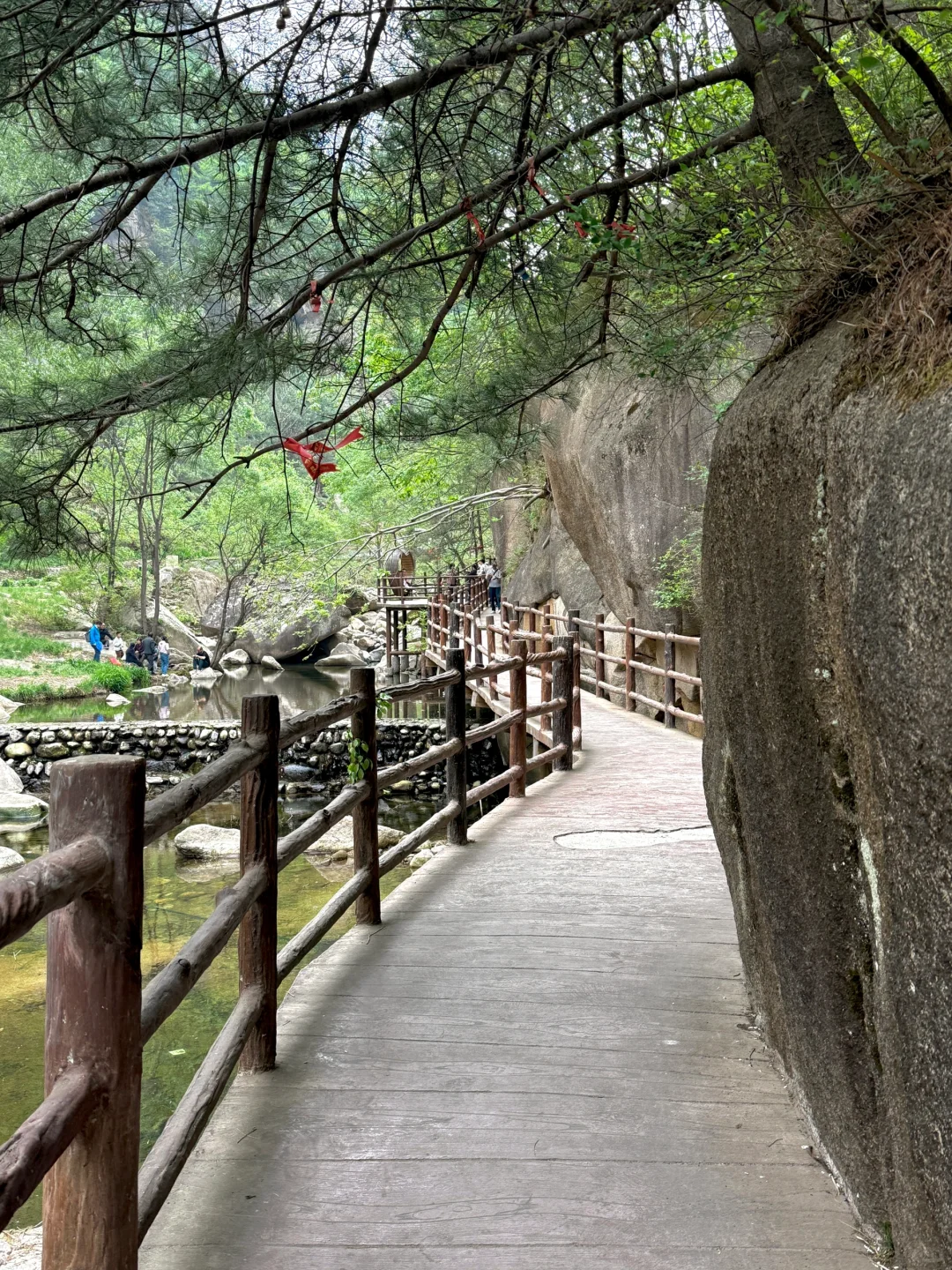 天然氧吧🌳 公主请入谷！