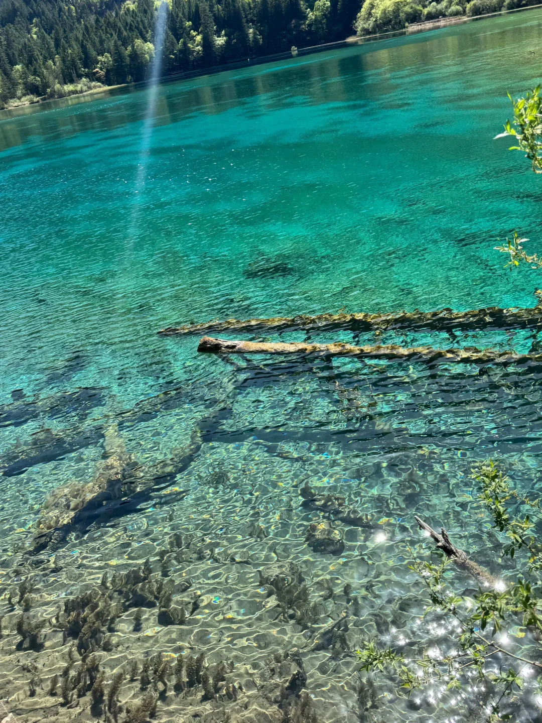 5.24📍九寨沟已回，xhs真别把人当傻子。。。