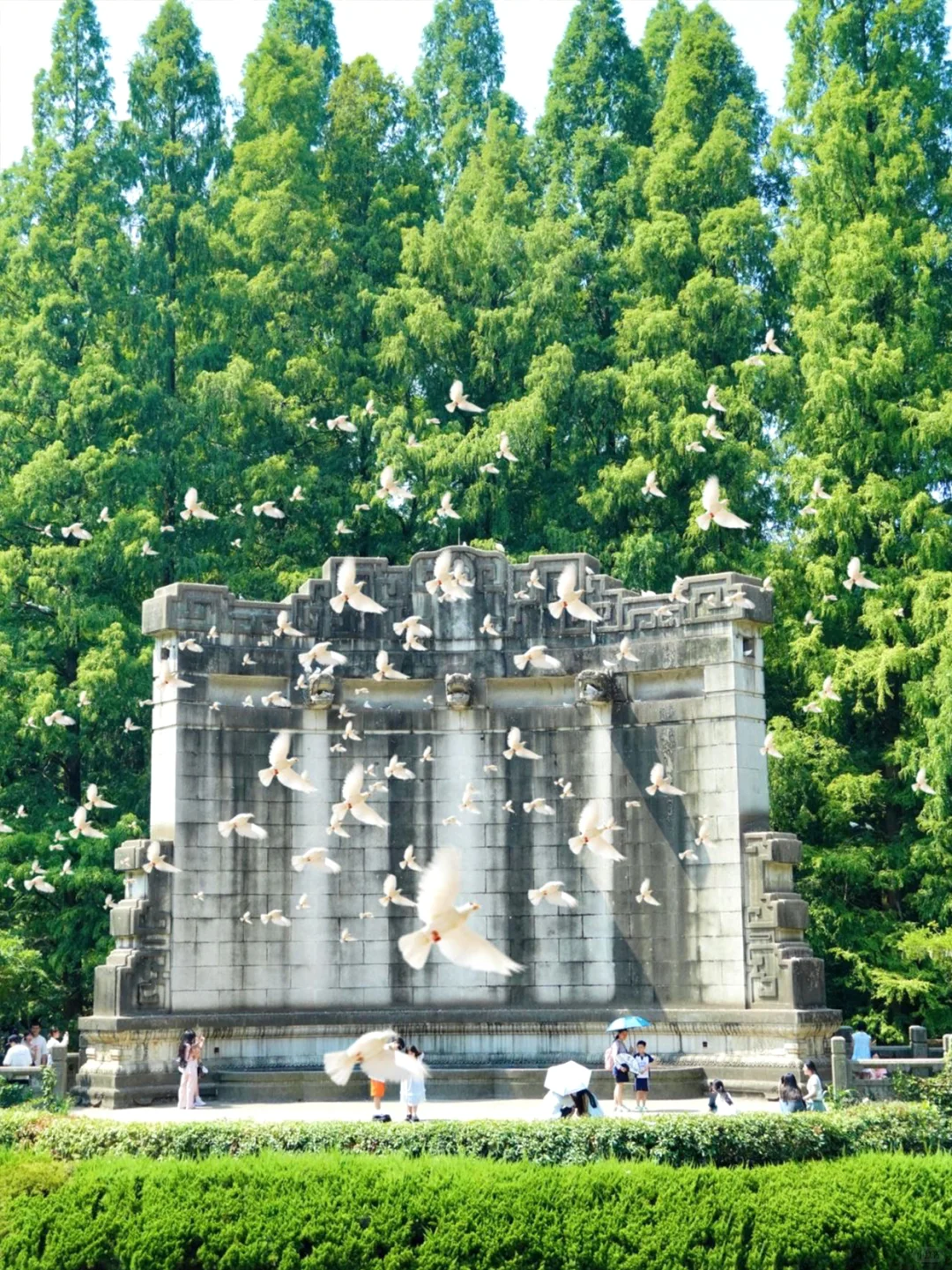 五月去南京🌿2天1晚📍超全保姆级打卡攻略