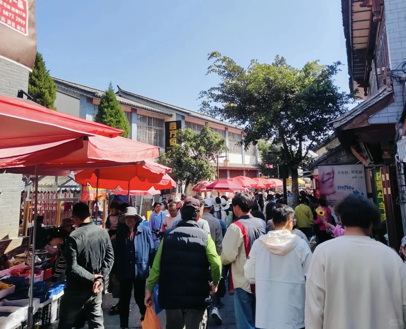 大理菜市场不完全逛吃指南