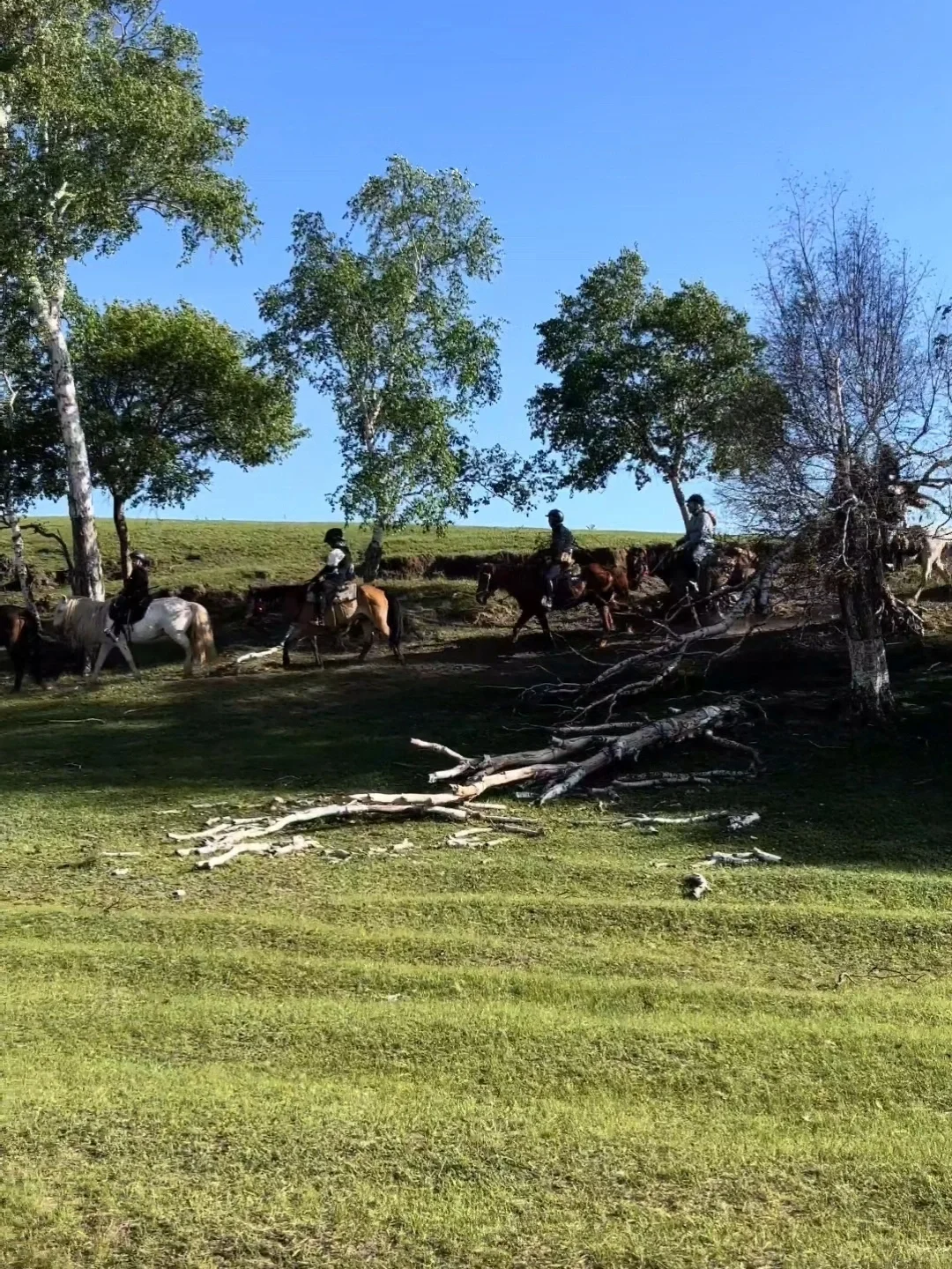 自驾达达线、热阿线，刚回来，我的建议是…
