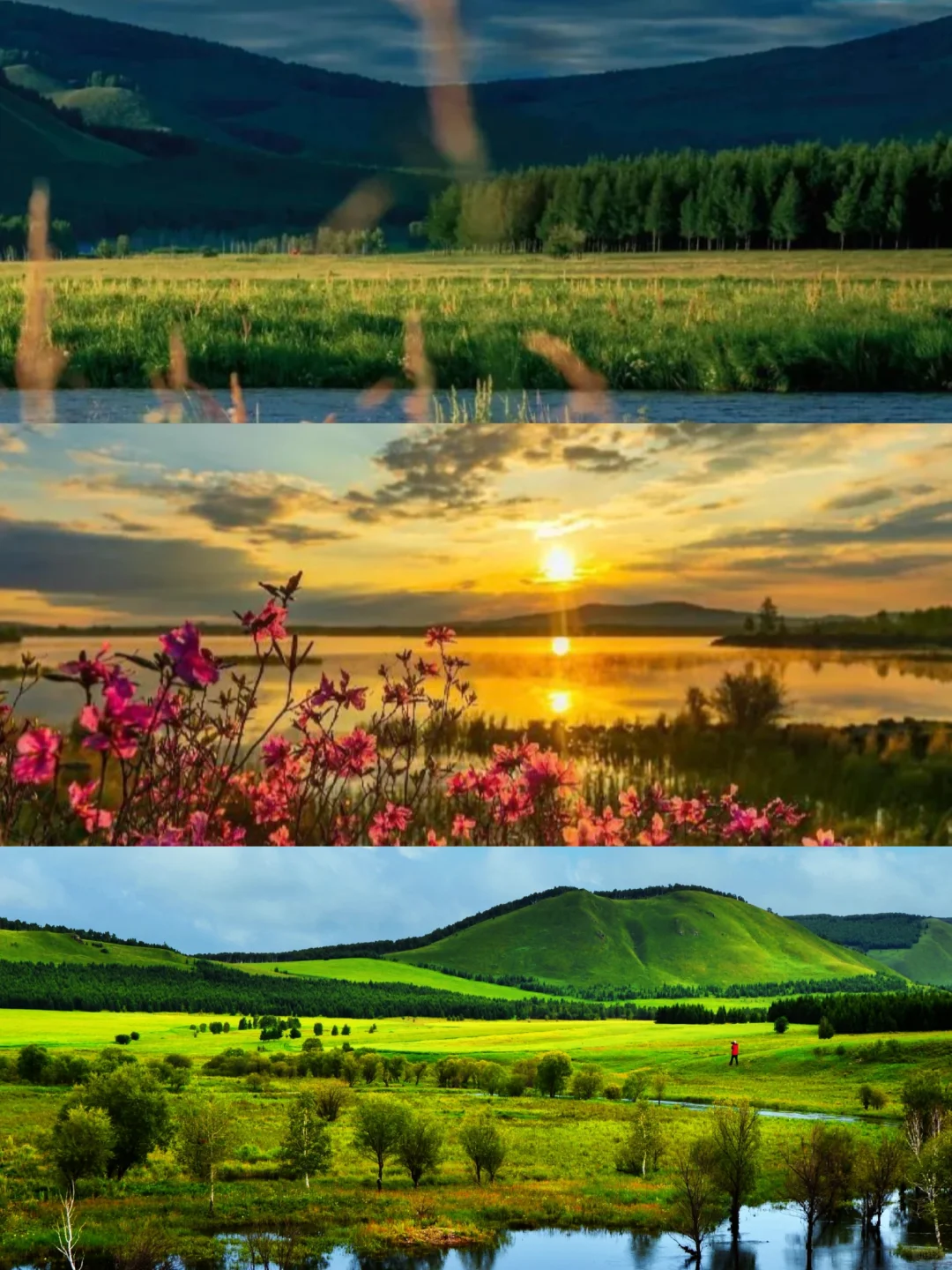 现在出发去春季的阿尔山⛰️