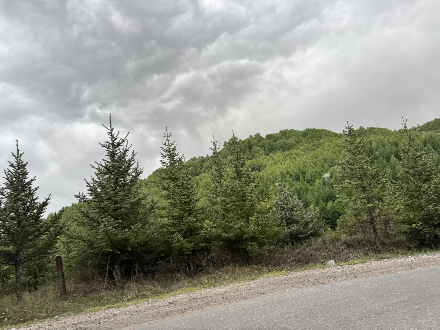 一个人逃进山里两天，没人吵太舒服了🌫️