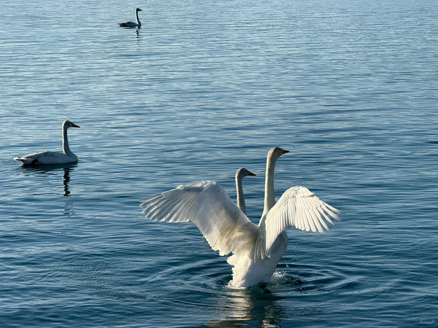 赛里木湖自驾攻略