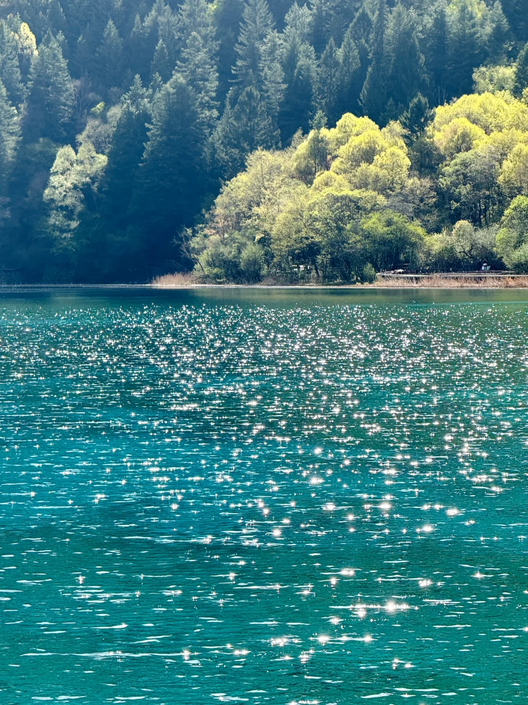 5.24📍九寨沟已回，xhs真别把人当傻子。。。