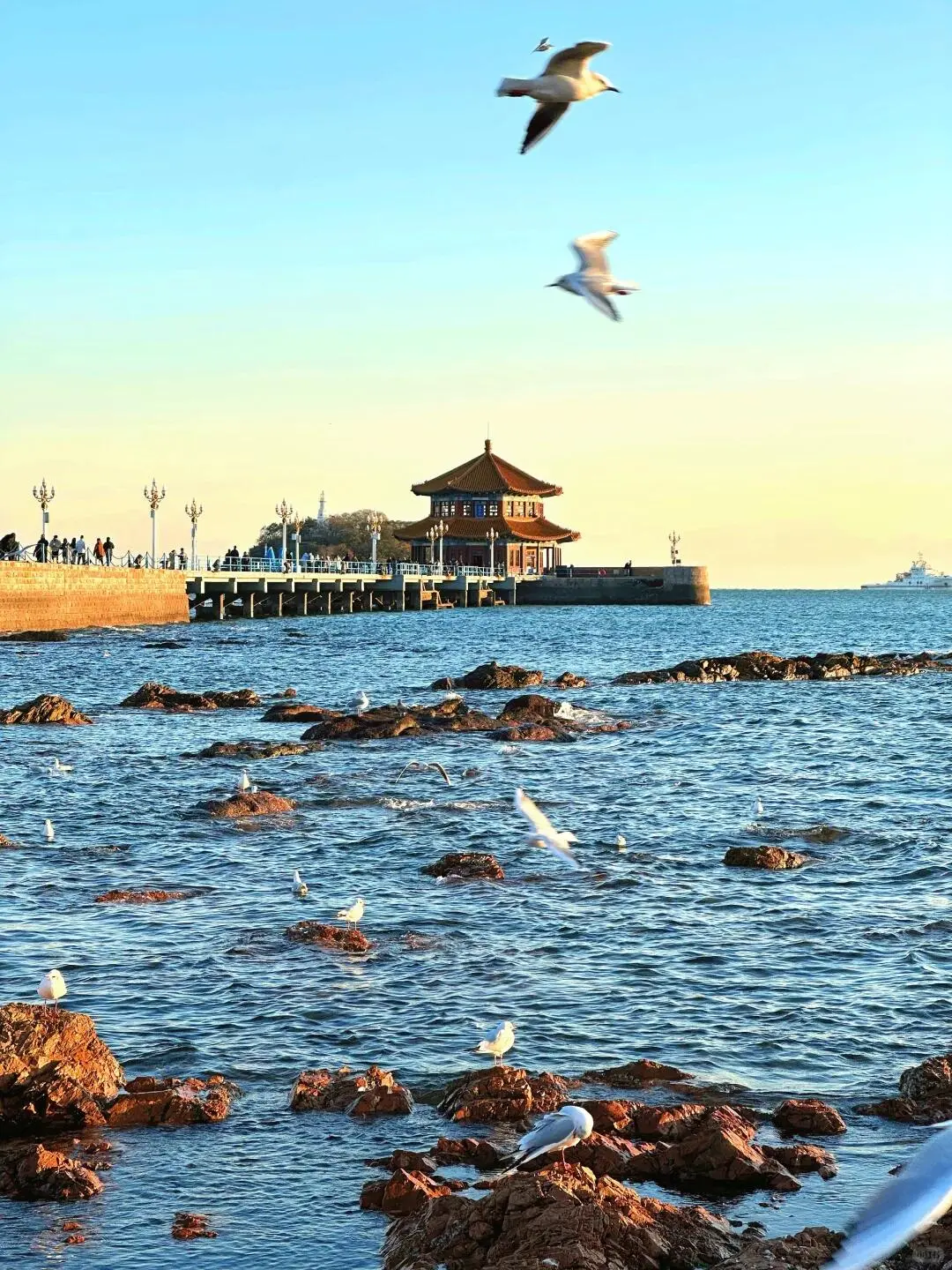 海风轻拂,啤酒飘香,这是属于青岛的夏日记
