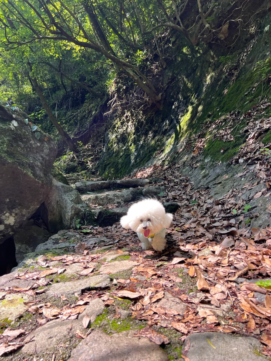 徒步/岩门下村景区环线-绝美瀑布～